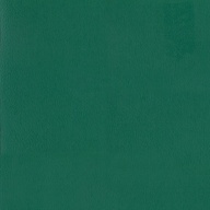 Линолеум спортивный Tarkett Omnisports Excel Forest Green 2x20,5 м