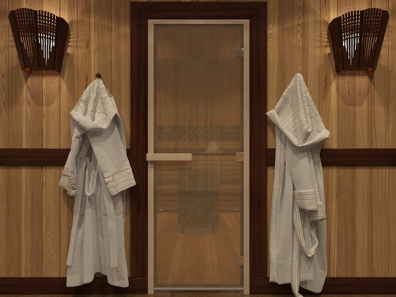 Дверь для хамама стеклянная Doorwood DW00806 бронза матовая 700х1900 мм