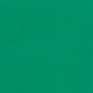 Линолеум спортивный Tarkett Omnisports Excel Field Green 2x20,5 м
