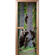 Дверь для сауны стеклянная Doorwood Фотопечать A064 700х1900 мм