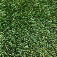 Трава искусственная Condor Grass Apollo 3011 2 м резка